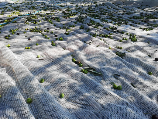 Ernteschutznetze - 2,70 x 100 m